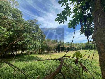 Beach lot for sale in Borbon Cebu Philippines