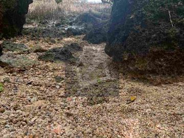 Beach lot for sale in Borbon Cebu Philippines