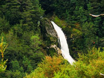 Venta de Lotes en Puerto Aysén -  Ruta De La Pesca - Región de Aysén