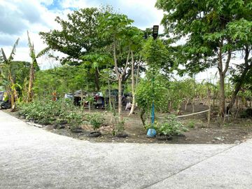 Titled Corner Lot nr Beach. 598sqm. Just P9.5k/sqm Neg. Tanza, Cavite