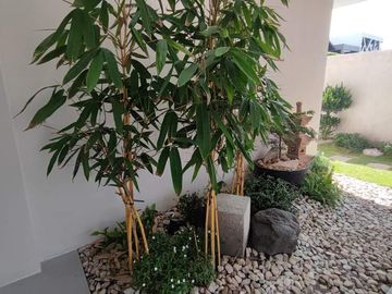 *NEWLY BUILT MODERN HOUSE WITH JAPANESE THEME FOR SALE NEAR MARQUEE MALL IN ANGELES CITY