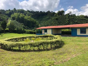 VENDO FINCA PRODUCTIVA EN FILANDIA QUINDIO 18 CUADRAS SE RECIBE ALGO EN PERMUTA