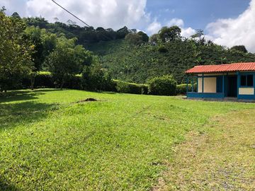 VENDO FINCA PRODUCTIVA EN FILANDIA QUINDIO 18 CUADRAS SE RECIBE ALGO EN PERMUTA