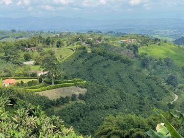 VENDO FINCA PRODUCTIVA EN FILANDIA QUINDIO 18 CUADRAS SE RECIBE ALGO EN PERMUTA