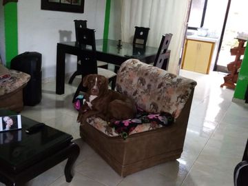 VENDO FINCA PRODUCTIVA EN FILANDIA QUINDIO 18 CUADRAS SE RECIBE ALGO EN PERMUTA