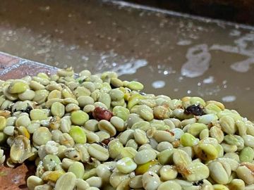 VENDO FINCA PRODUCTIVA EN FILANDIA QUINDIO 18 CUADRAS SE RECIBE ALGO EN PERMUTA