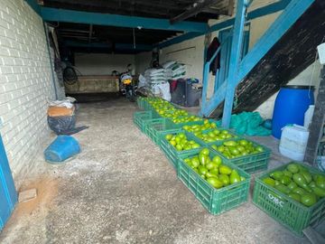 VENDO FINCA PRODUCTIVA EN FILANDIA QUINDIO 18 CUADRAS SE RECIBE ALGO EN PERMUTA