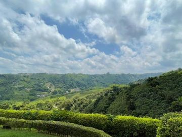 VENDO FINCA PRODUCTIVA EN FILANDIA QUINDIO 18 CUADRAS SE RECIBE ALGO EN PERMUTA