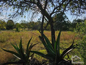 LINDO TERRENO EN 