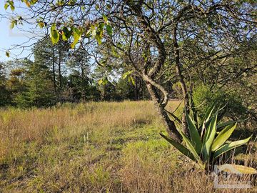 LINDO TERRENO EN 