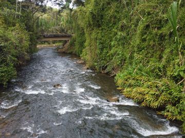 VENDO FINCA HOTEL EN JERICÓ ANTIOQUIA