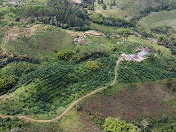 VENDO FINCA HOTEL EN JERICÓ ANTIOQUIA