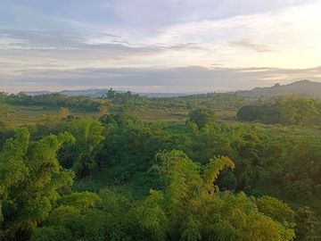 38 sqm 1-bedroom Condo For Sale in New Clark City, Capas,Tarlac