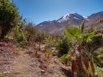 Venta de hermoso terreno en Horcón, Valle del Elqui, 7.200 m2, electricidad y agua potable. 5.350 UF