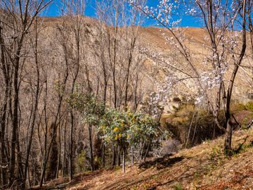 Venta de hermoso terreno en Horcón, Valle del Elqui, 7.200 m2, electricidad y agua potable. 5.350 UF