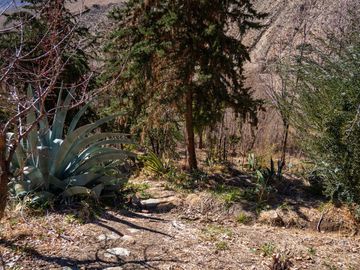Venta de hermoso terreno en Horcón, Valle del Elqui, 7.200 m2, electricidad y agua potable. 5.350 UF