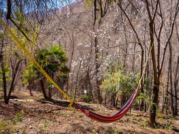 Venta de hermoso terreno en Horcón, Valle del Elqui, 7.200 m2, electricidad y agua potable. 5.350 UF