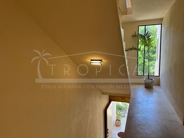 DISEÑO MAYA 