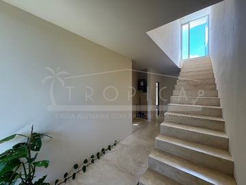 DISEÑO MAYA 