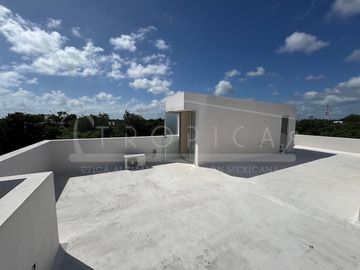 DISEÑO MAYA 