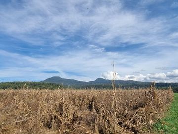 TERRENO EN VENTA, EN EL CASTELLANO