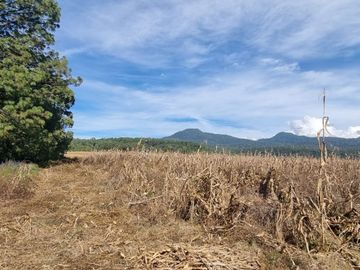 TERRENO EN VENTA, EN EL CASTELLANO