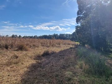 TERRENO EN VENTA, EN EL CASTELLANO
