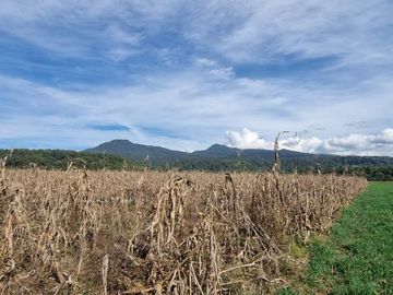 TERRENO EN VENTA, EN EL CASTELLANO