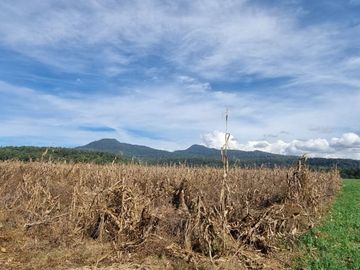 TERRENO EN VENTA, EN EL CASTELLANO