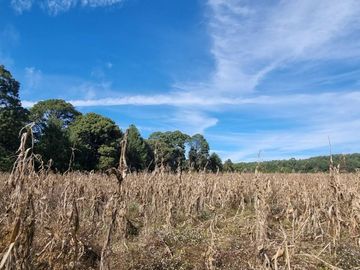 TERRENO EN VENTA, EN EL CASTELLANO