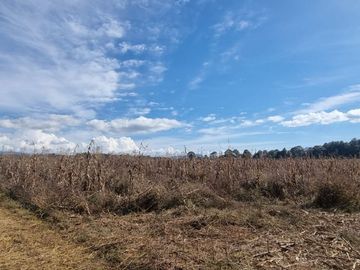 TERRENO EN VENTA, EN EL CASTELLANO