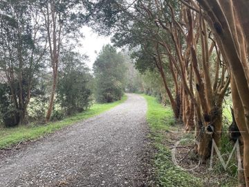 Hermosa parcela en Rebellin Alto, a 15 minutos de Valdivia