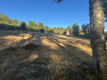 Hermosa parcela en Rebellin Alto, a 15 minutos de Valdivia