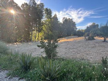 Hermosa parcela en Rebellin Alto, a 15 minutos de Valdivia