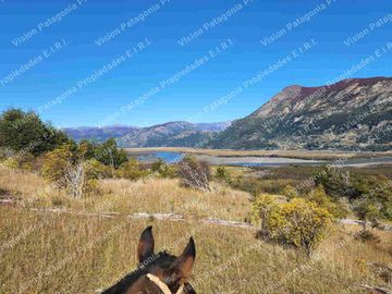 VENDO PREDIO DE 643 HECTÁREAS CON 4 KILÓMETROS DE RÍO IBÁÑEZ, REGION DE AYSEN