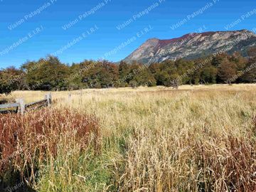 VENDO PREDIO DE 643 HECTÁREAS CON 4 KILÓMETROS DE RÍO IBÁÑEZ, REGION DE AYSEN