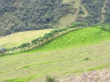 Oportunidad, Venta de Finca en Alambi, Parroquia Nono Precio $239.000 - 9.65 Ha.