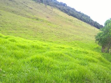 Oportunidad, Venta de Finca en Alambi, Parroquia Nono Precio $239.000 - 9.65 Ha.