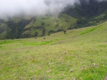 Oportunidad, Venta de Finca en Alambi, Parroquia Nono Precio $239.000 - 9.65 Ha.