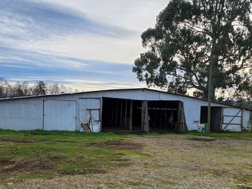 Se Vende Predio Agrícola-Ganadero de 105 ha cercano a Paillaco, Región de los Ríos