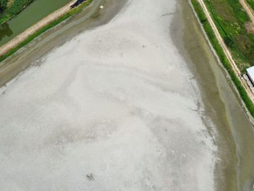 camaronera de venta  en san vicente