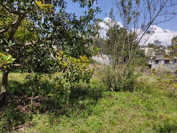 Terreno de Venta 11.695 M2, Cumbaya, Lotizacion Yanazarapata, perfecto para proyecto de casas.