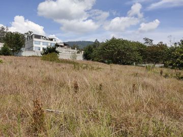 Terreno de Venta 11.695 M2, Cumbaya, Lotizacion Yanazarapata, perfecto para proyecto de casas.