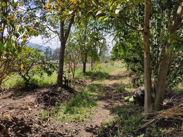 Terreno de Venta 11.695 M2, Cumbaya, Lotizacion Yanazarapata, perfecto para proyecto de casas.