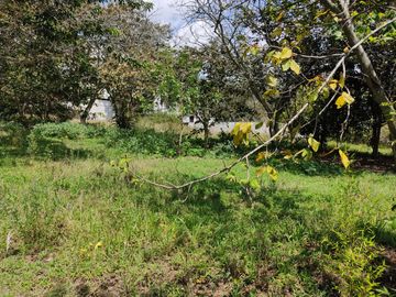 Terreno de Venta 11.695 M2, Cumbaya, Lotizacion Yanazarapata, perfecto para proyecto de casas.