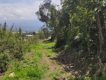 Terreno de Venta 11.695 M2, Cumbaya, Lotizacion Yanazarapata, perfecto para proyecto de casas.