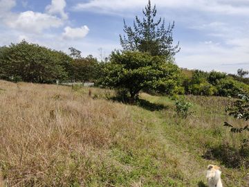 Terreno de Venta 11.695 M2, Cumbaya, Lotizacion Yanazarapata, perfecto para proyecto de casas.