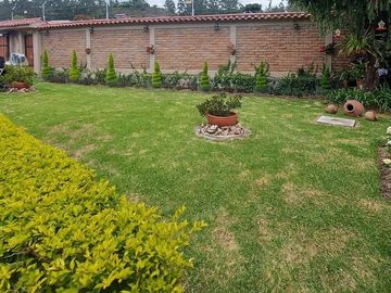 Vendo casa amplia sector calle Roma con área verde se acepta departamentos como parte de pago ideal para inversionistas
