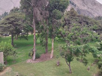 VENTA DE CASA CHACLACAYO URB. GIRASOLES ZONA PLANA