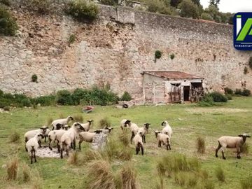 Hacienda de 7 Hectáreas en Omitlán de Juárez, Estado de Hidalgo.